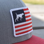 Red, White, and Bird Dogs